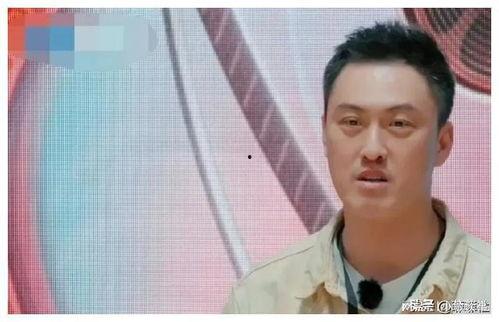 娱乐圈吃瓜爆料道歉了吗,道歉风波背后的真相揭晓